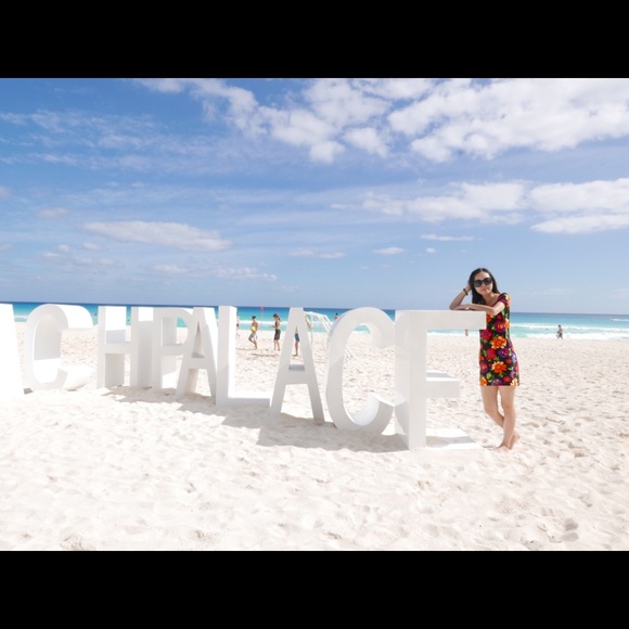 Meet your Posher, Ella - Picture 1 of 1